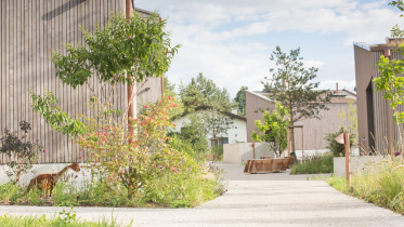 Überbauung Leben im Park, Gipf-Oberfrick